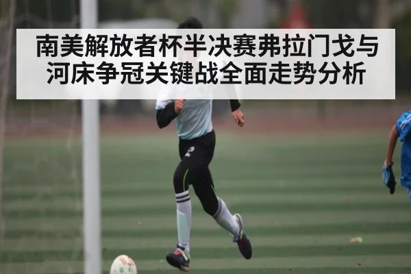 南美解放者杯半决赛弗拉门戈与河床争冠关键战全面走势分析