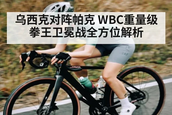 乌西克对阵帕克 WBC重量级拳王卫冕战全方位解析